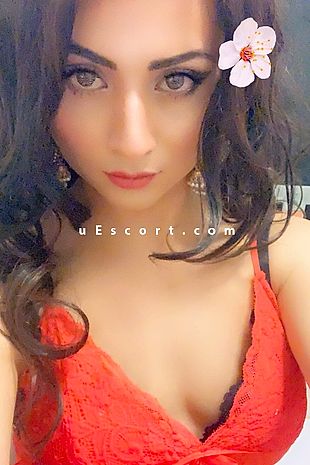 Leenadoll - Escort Trans/Tv London