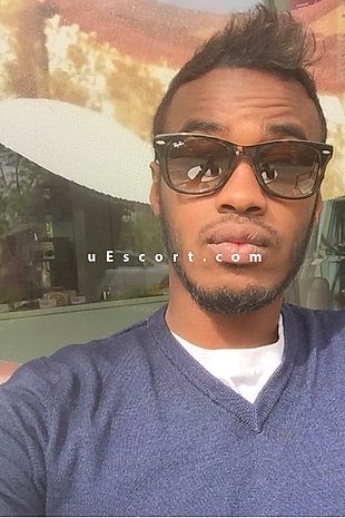 David - Escort Males London