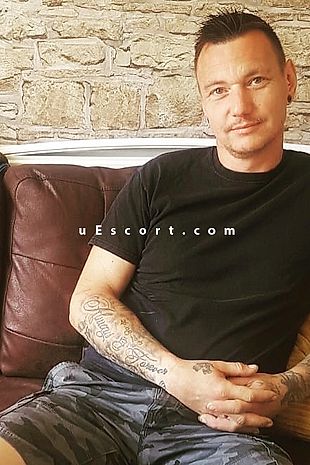 Sexytease - Male escorts Bedford