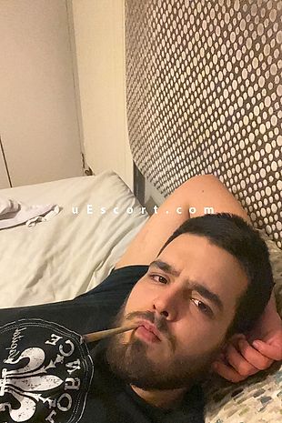 ItalianBull - Male escorts London
