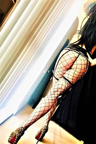 SAMIRAxxCOX - Escort Girl London