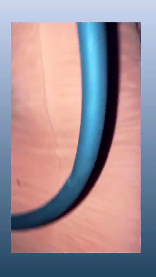 Isabella Video Background