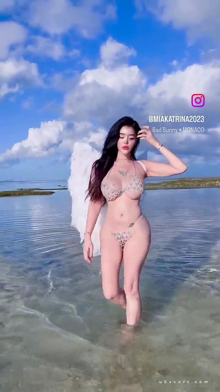 Playmatemia Video Background