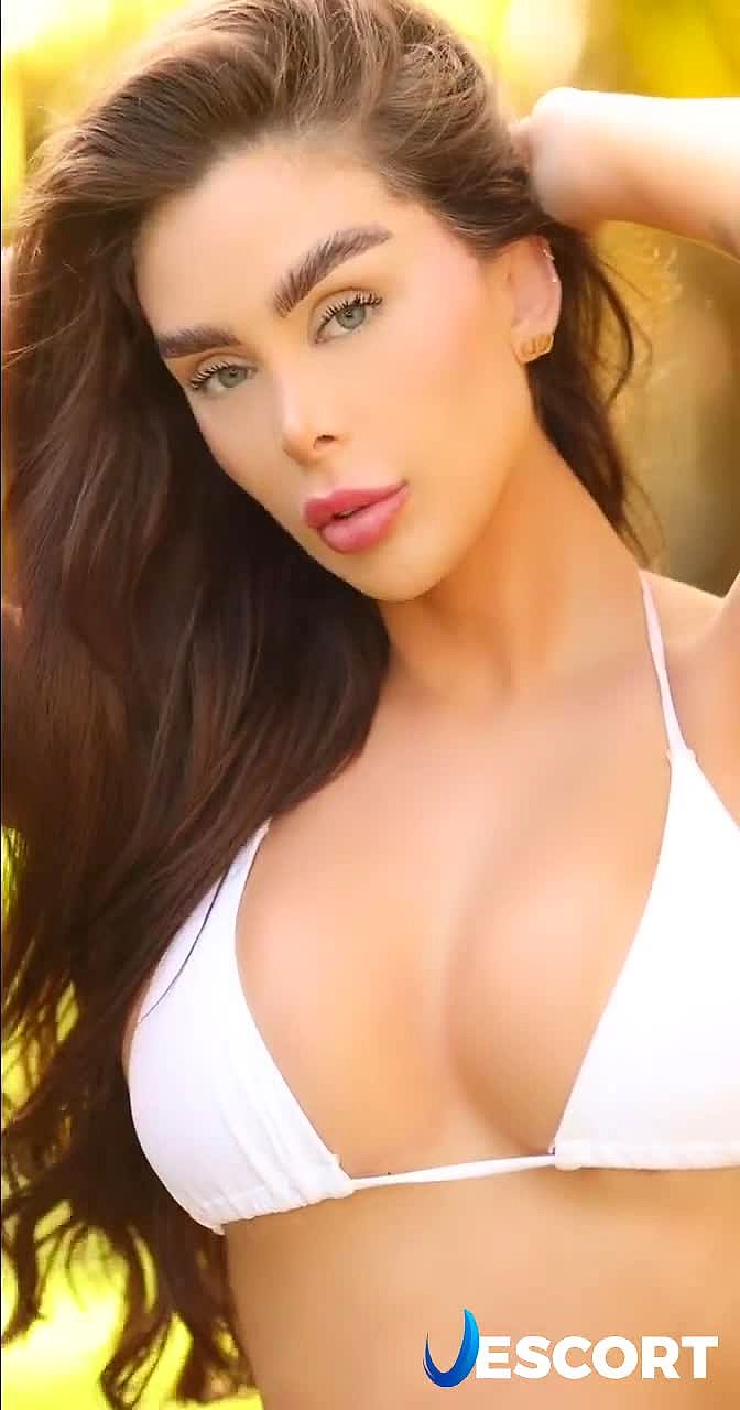 LEICA Video Background