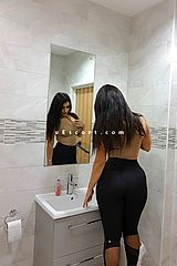 Aman - Hillingdon - London Borough Escort