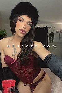 Greenwich/blackheath/Lewisham - Manchester Trans Escorts