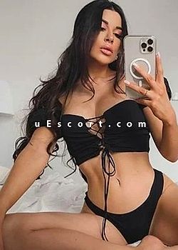 LOLI DOLLY Escort girls Belfast
