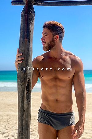 TheTantric - Male escorts London