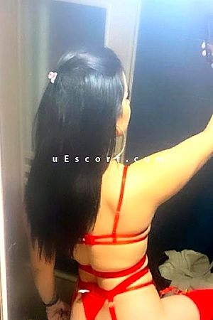 Alma - Escort girls Worcester