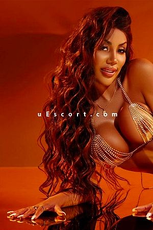 Shay - London Escorts