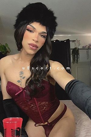Greenwich/blackheath/Lewisham - Manchester Trans Escorts