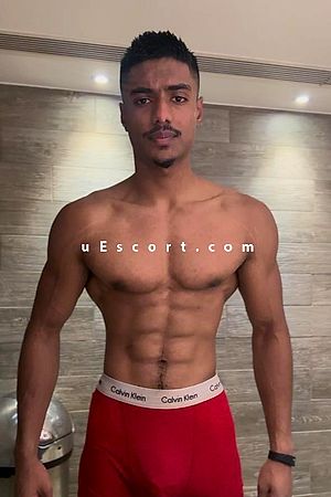 Rex - Male escorts London