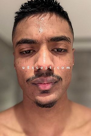 Rex - Male escorts London