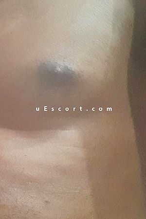 Jason1 - London Boy Escorts