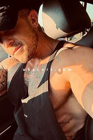 Topcat Talent - Farnham Boy Escorts