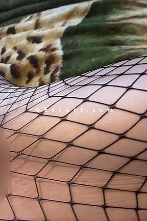Bbyslut - Gloucester Escorts