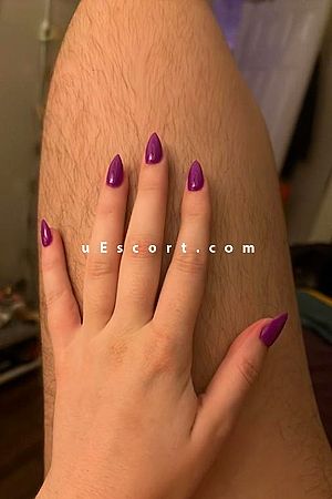 RosaDomina Photo