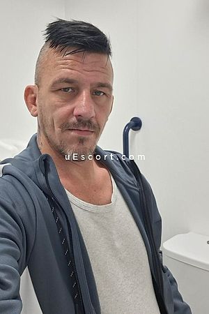 GayTowers2025 Photo