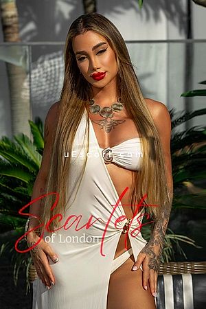 Pamella TS - London Trans Escorts