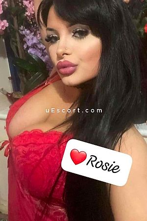 Rosie - Essex Escorts