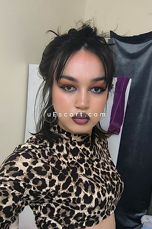Natash - London Escorts